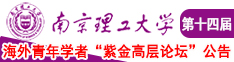 美BB视频南京理工大学第十四届海外青年学者紫金论坛诚邀海内外英才！